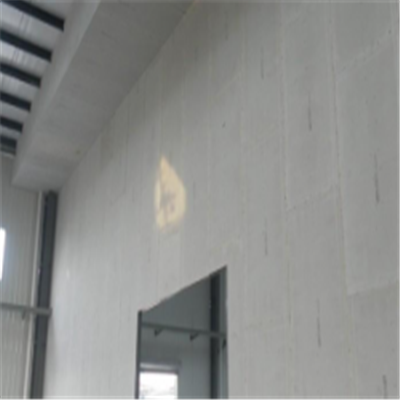 汕尾宁波ALC板|EPS加气板隔墙与混凝土整浇联接的实验研讨